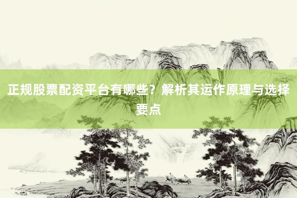 正规股票配资平台有哪些？解析其运作原理与选择要点